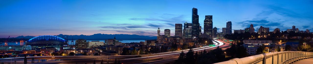 Seattle Skyline - FadedFlannel.com